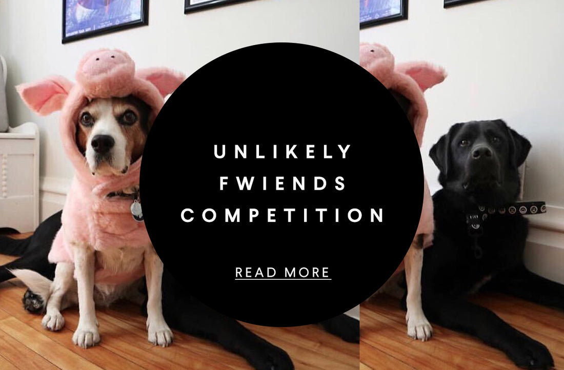 Unlikely Fwiends