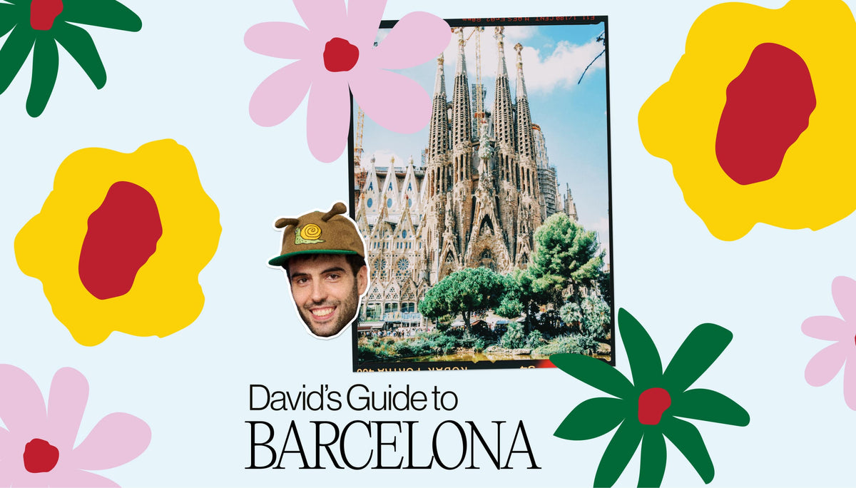 Graphic banner with text 'David's Guide to Oafworld' on a blue background with illustrated flowers. In the centre is an image of the cathedral in Barcelona and a cutout portrait of David Mendez Alonso.