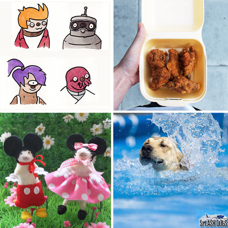 See You Next Tuesday: Sloth Stars, Mini Mice and Splash Dogs.