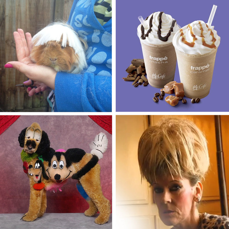 See You Next Tuesday: Animal Grooming, Iced Mochas and Alien Encounters