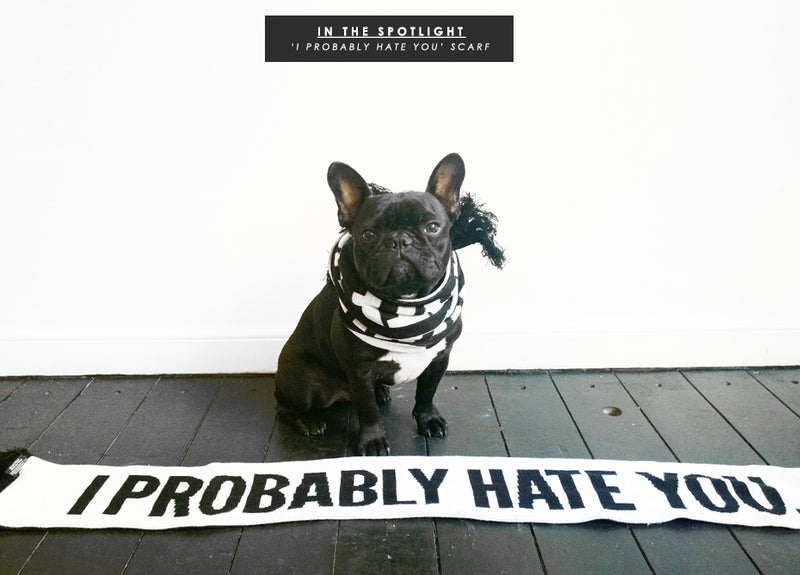 In the Spotlight: I Probably Hate You Scarf