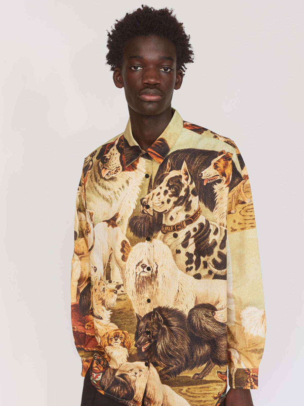 Collection-men-landing, collection-men-new-in-1, collection-mens, collection-mens-shirts, model:Elhadj wears size L and is 6’1” , collection-all-shirts, collection-mens-sale