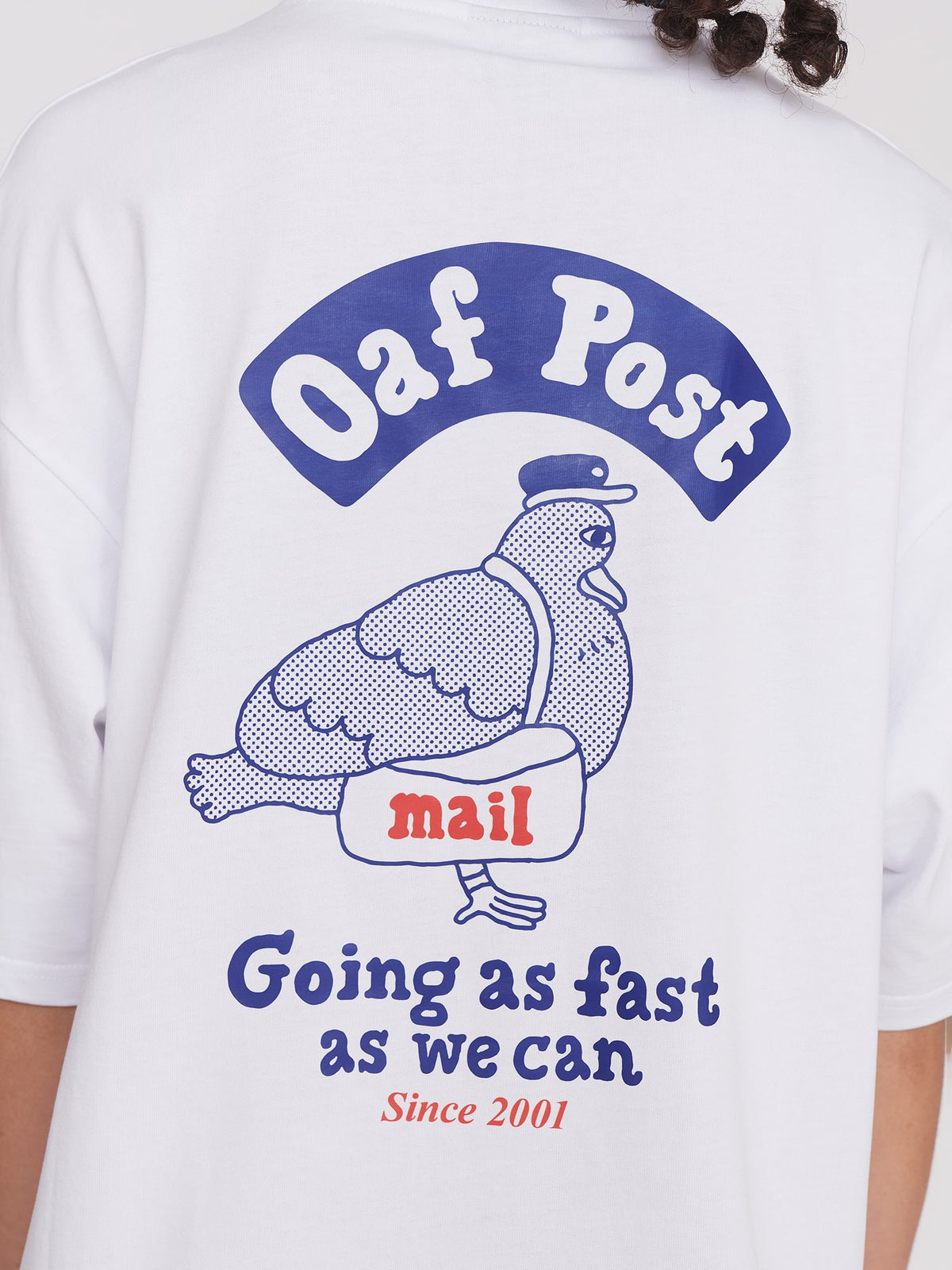 Pigeon Post Boxy T-shirt
