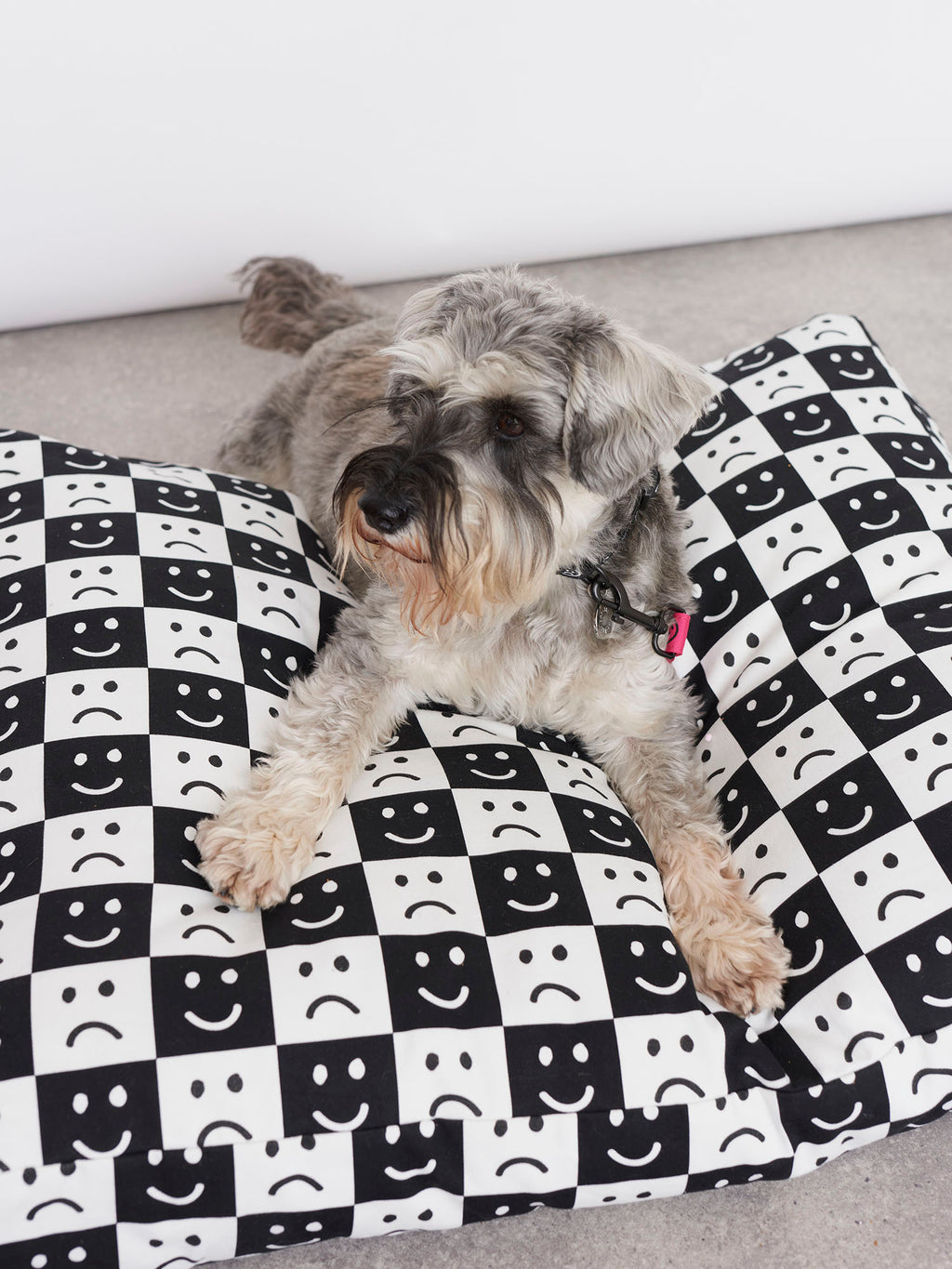 Lazy Oaf Happy Sad Dog Floor Cushion