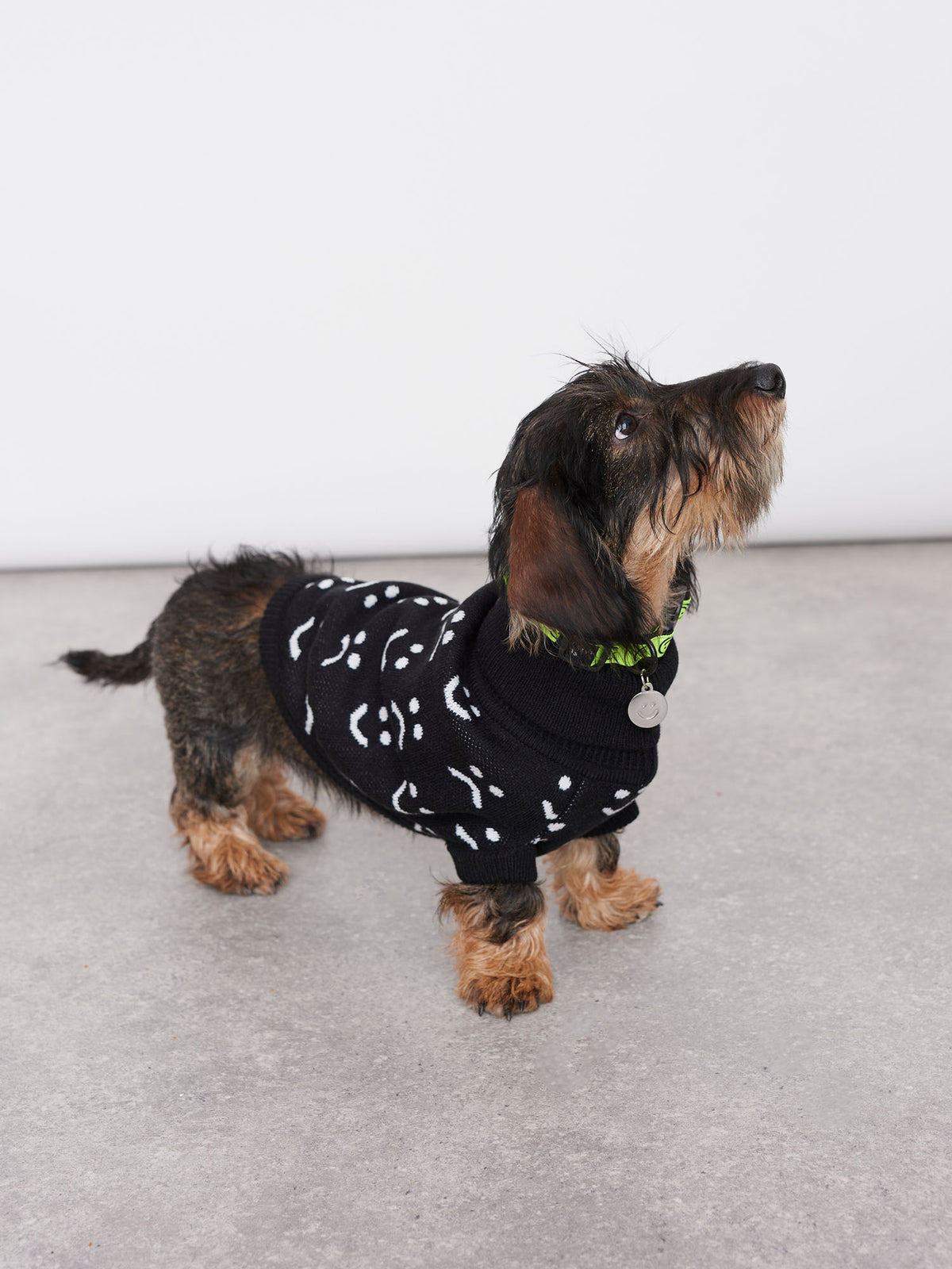 Lazy Oaf Knitted Dog Jumper