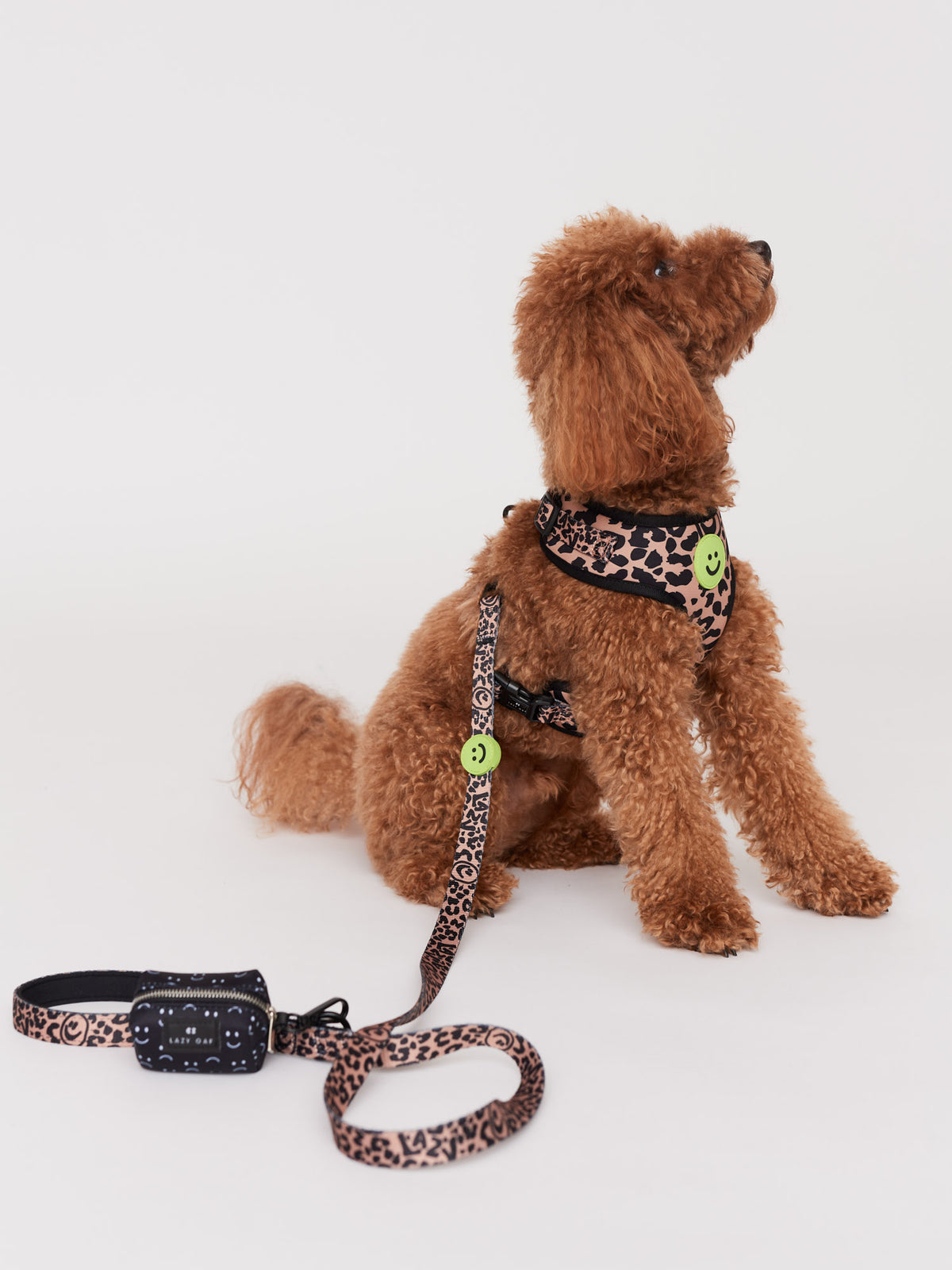 Eastend Dog Lead