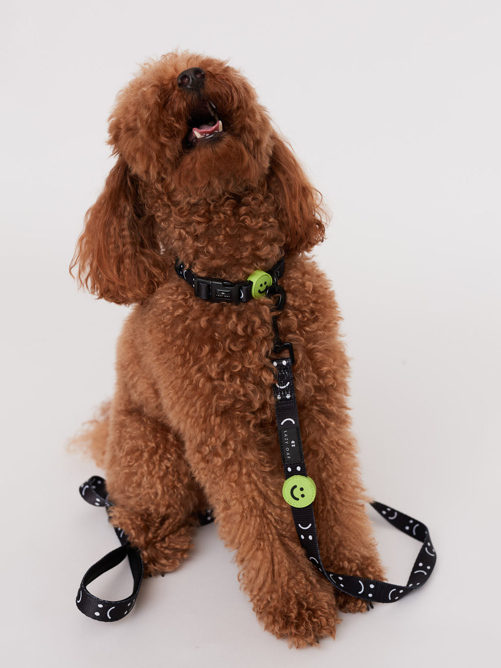 Happy Sad Dog Collar
