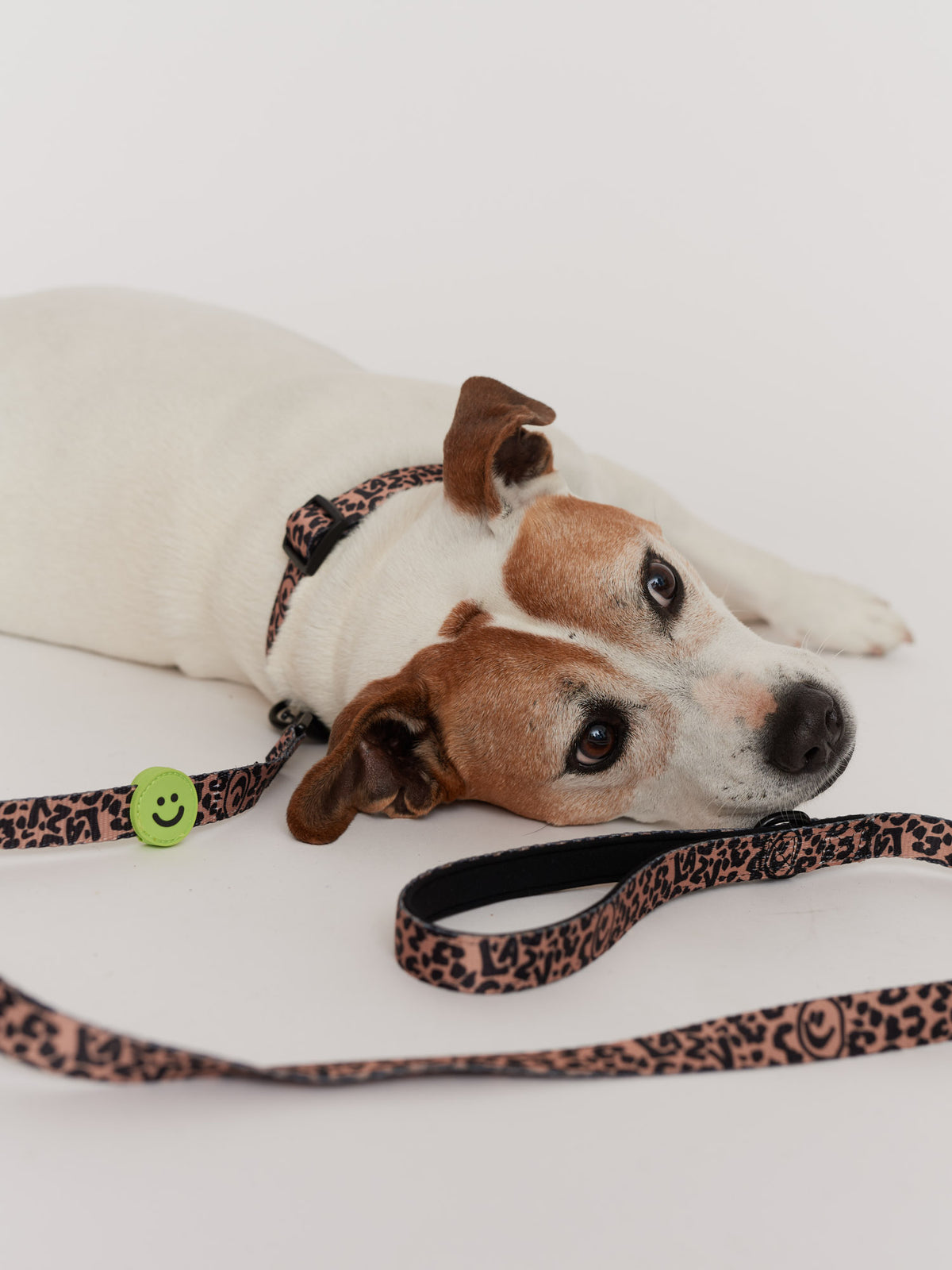 Eastend Dog Lead